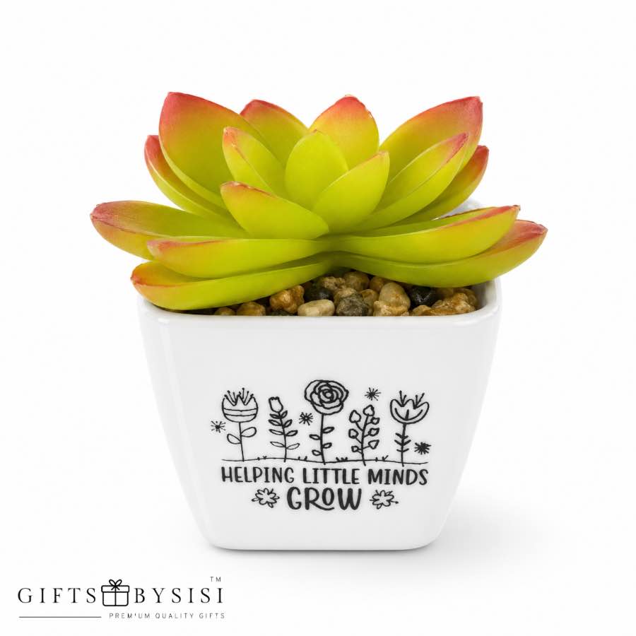 Helping Little Minds Grow Artificial Succulent Plant - Image 6
