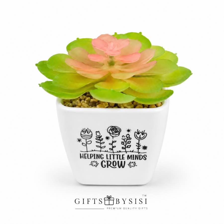 Helping Little Minds Grow Artificial Succulent Plant - Image 5