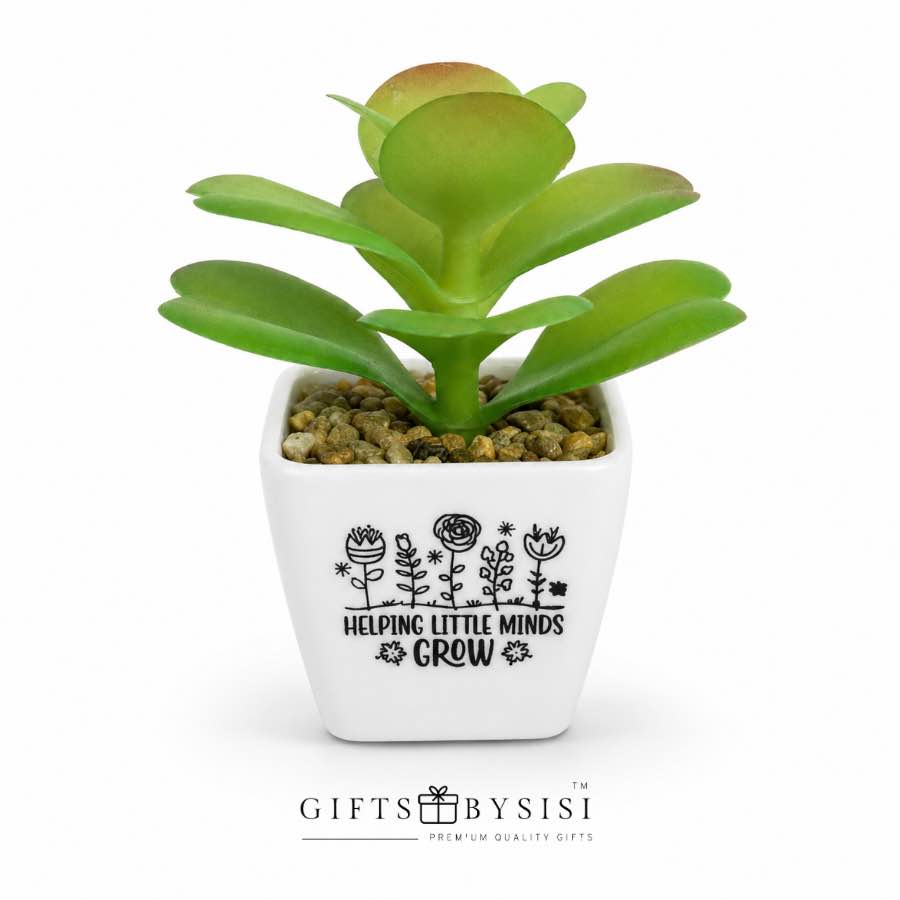 Helping Little Minds Grow Artificial Succulent Plant - Image 4
