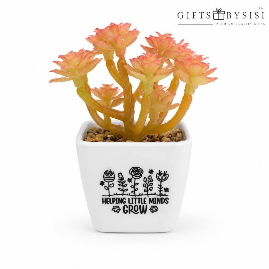 Helping Little Minds Grow Artificial Succulent Plant - Image 3