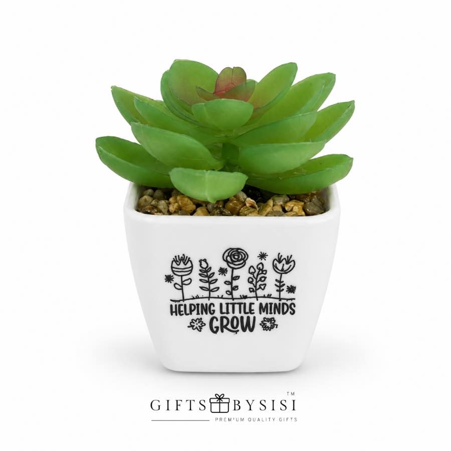 Helping Little Minds Grow Artificial Succulent Plant - Image 2